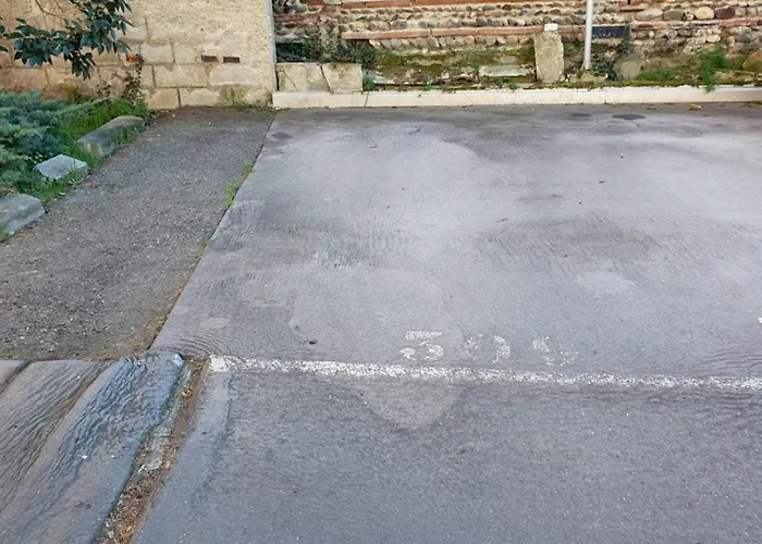 Fac 4 - Tram Au Pied L'immeuble- Parking Free Lejlighed *